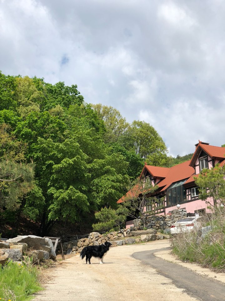 7개 집과 공간을 주 6일 개방하는 어!반상회(Urabn常會) 오픈스페이스 모임