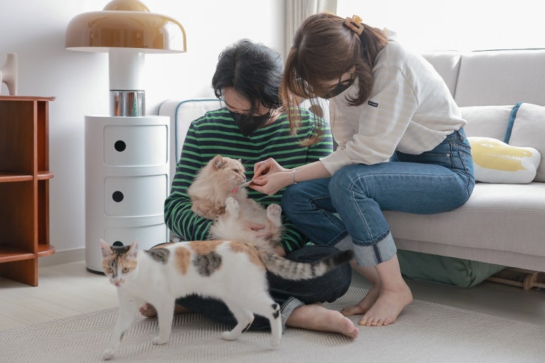 경기도 의왕 영화원 하우스 : 아파트 인테리어, 홈오피스 인테리어, 빈티지 인테리어