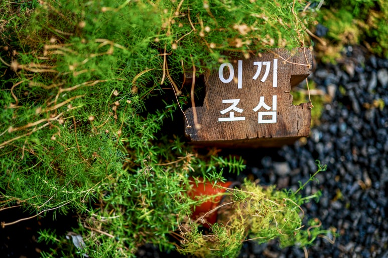 서울 북촌 치유재(治癒齋) : 공간의 확장과 변주를 추구하는 디자이너의 집