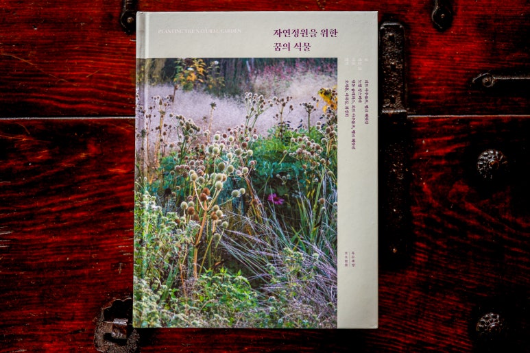서울 북촌 치유재(治癒齋) : 공간의 확장과 변주를 추구하는 디자이너의 집