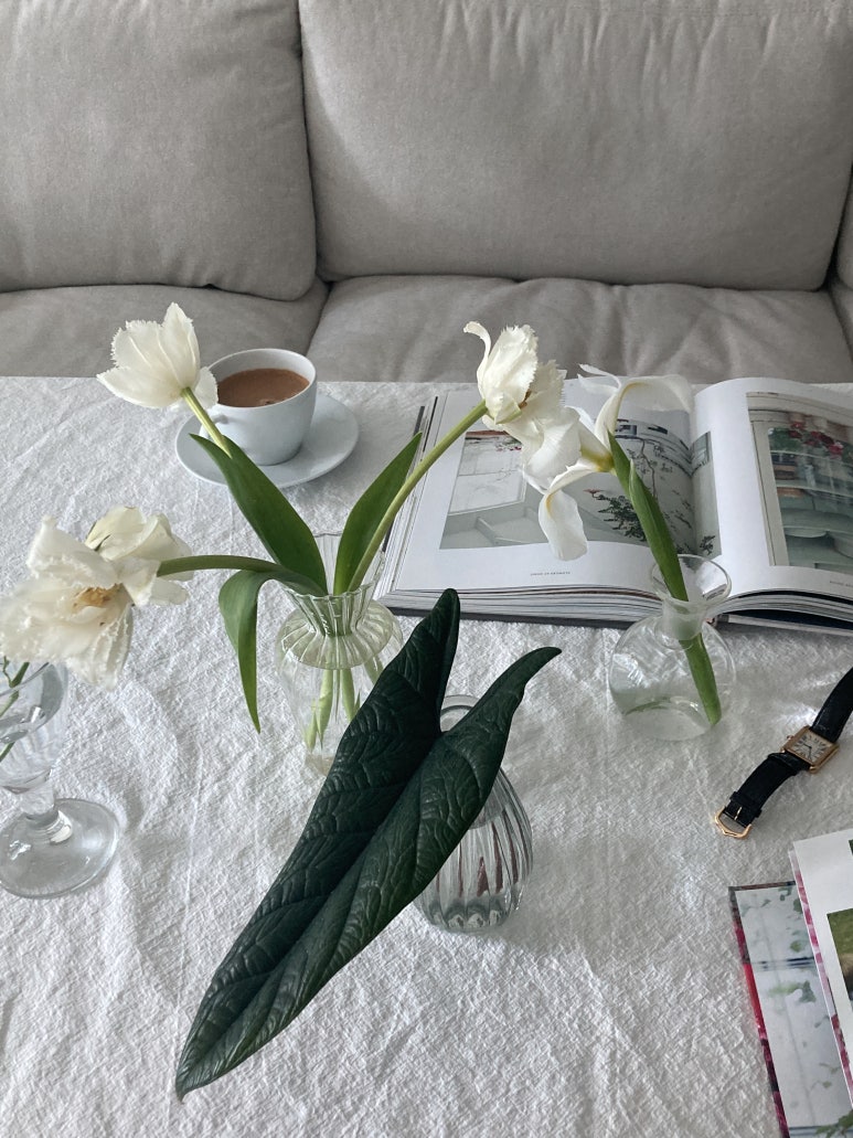 광주 동구 화사계(花四季) 하우스 : 꽃과 식물을 가꾸는 루틴을 사랑하는 크리에이터의 집