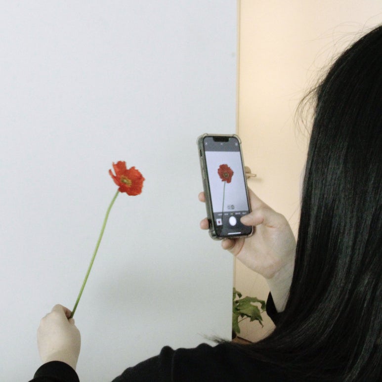 광주 동구 화사계(花四季) 하우스 : 꽃과 식물을 가꾸는 루틴을 사랑하는 크리에이터의 집