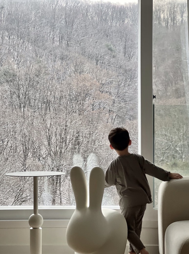 경기도 분당 화요(花料) 하우스 : 모던 인테리어, 화이트 인테리어, 아파트 인테리어