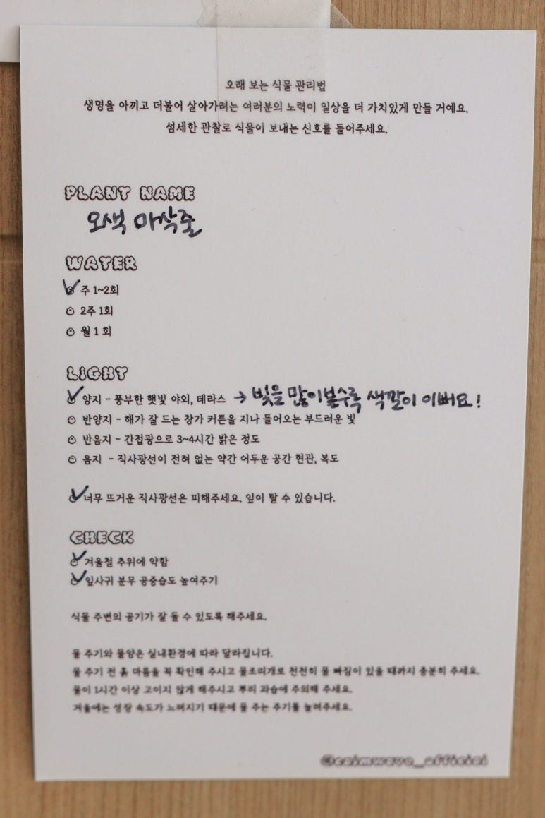 서울 마포구 하련(夏戀) 하우스 : 휴양지 인테리어, 플랜테리어, 아파트 인테리어