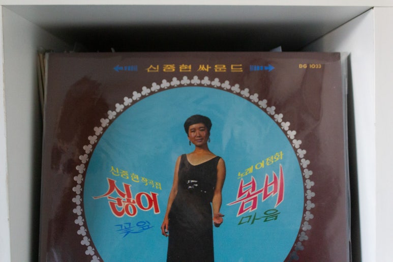 서울 은평구 모하니(Mohani) 하우스 : 하우스 콘서트가 열리는 앰비언트 음악가의 집