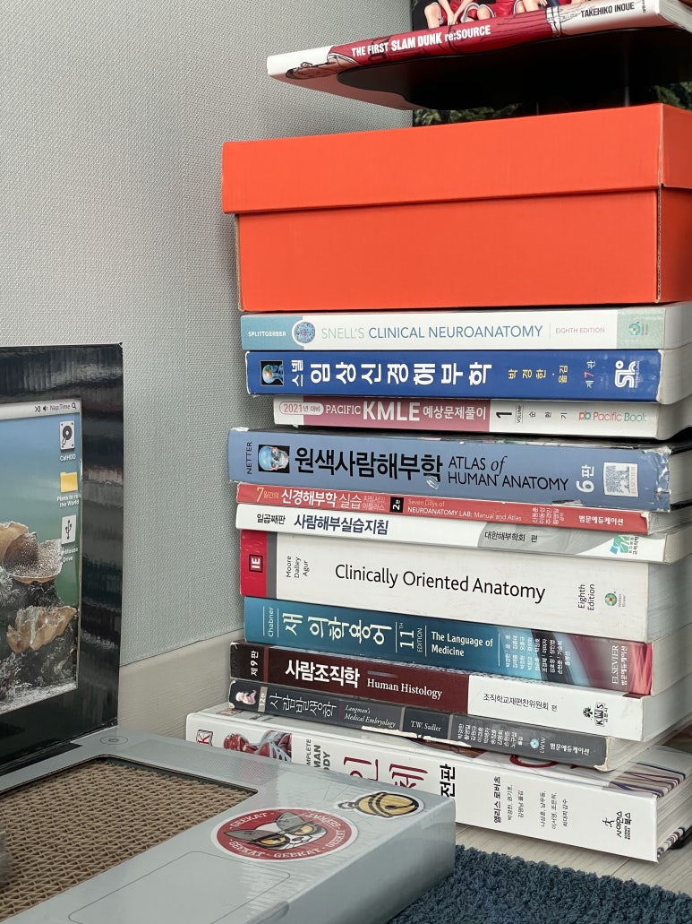 광주 동구 구하던 하우스 : 식물과 화분을 사랑하며 자아실현에 진심인 크리에이터의 집