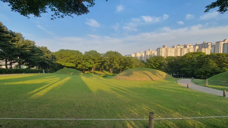 서울 송파구 테너네 하우스 : SF 영화와 전자 제품을 디깅하는 IT 개발자의 집