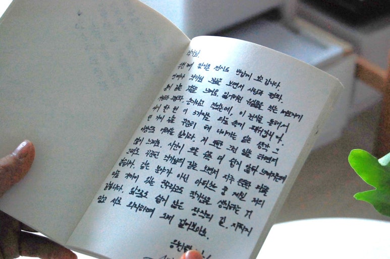 경기도 수원 어레터 하우스 : 뾰족함에 지친 세상에 둥근 위로를 건네는 작가의 집