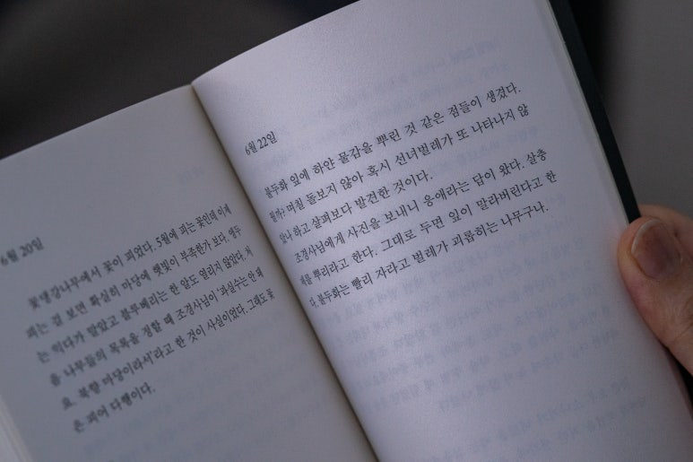 경기도 용인 우사기 하우스 : ‘우리’ 라는 말과 정서를 좋아하는 스타일리스트의 집