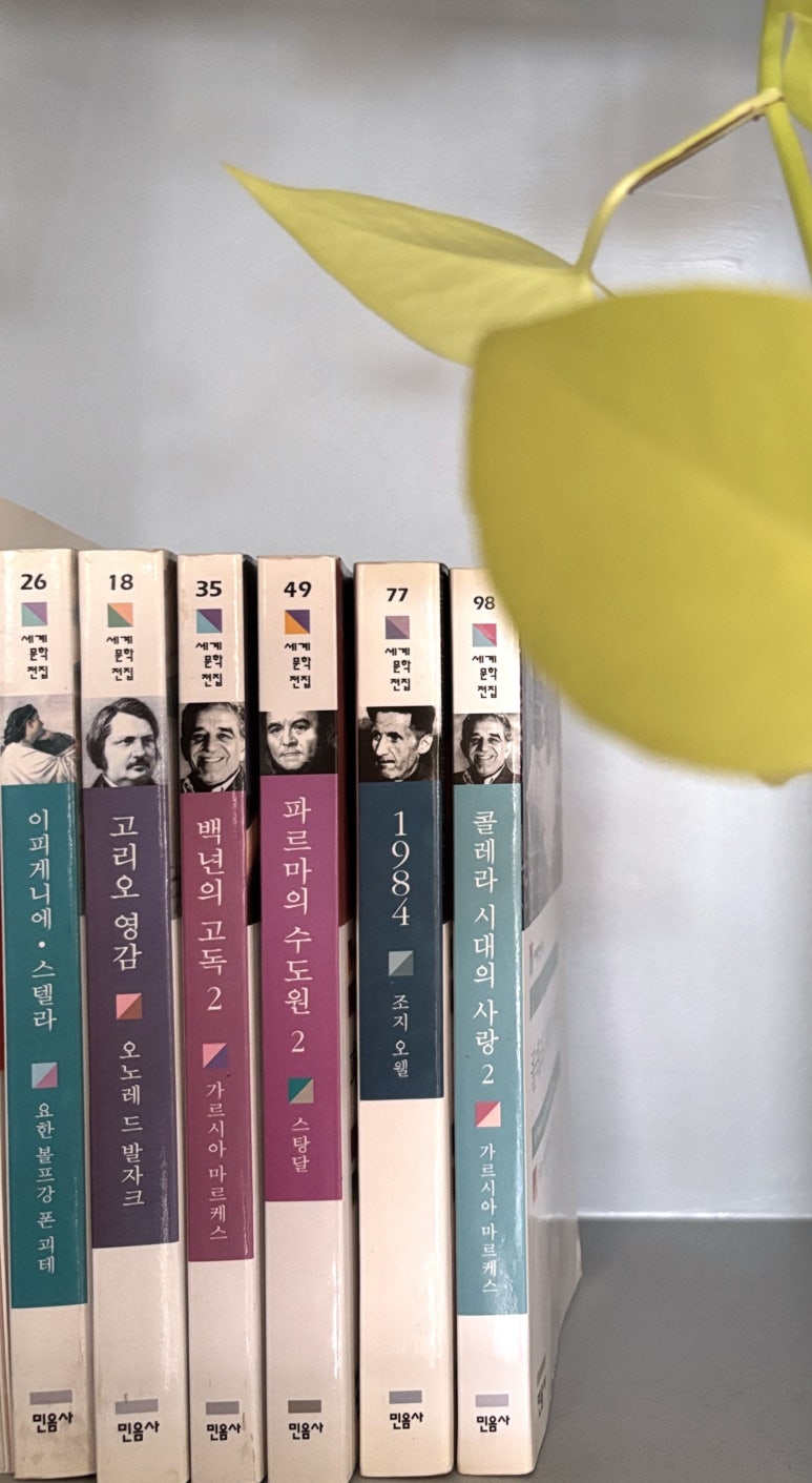 경기도 용인 엘리사 하우스 : 다른 세계를 따뜻한 시선으로 포용하는 스타일리스트의 집