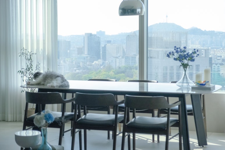 서울 삼성동 또또 하우스 : 완벽과 쉼 사이, 감각을 조율하는 크리에이터의 집